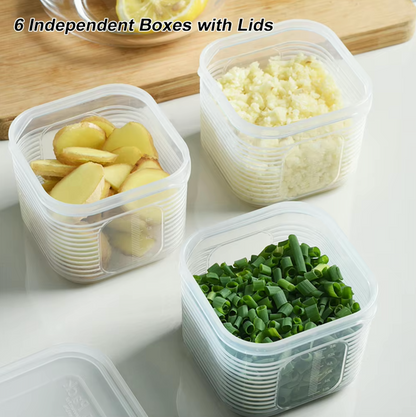 Line Storage Box (Set of 7)