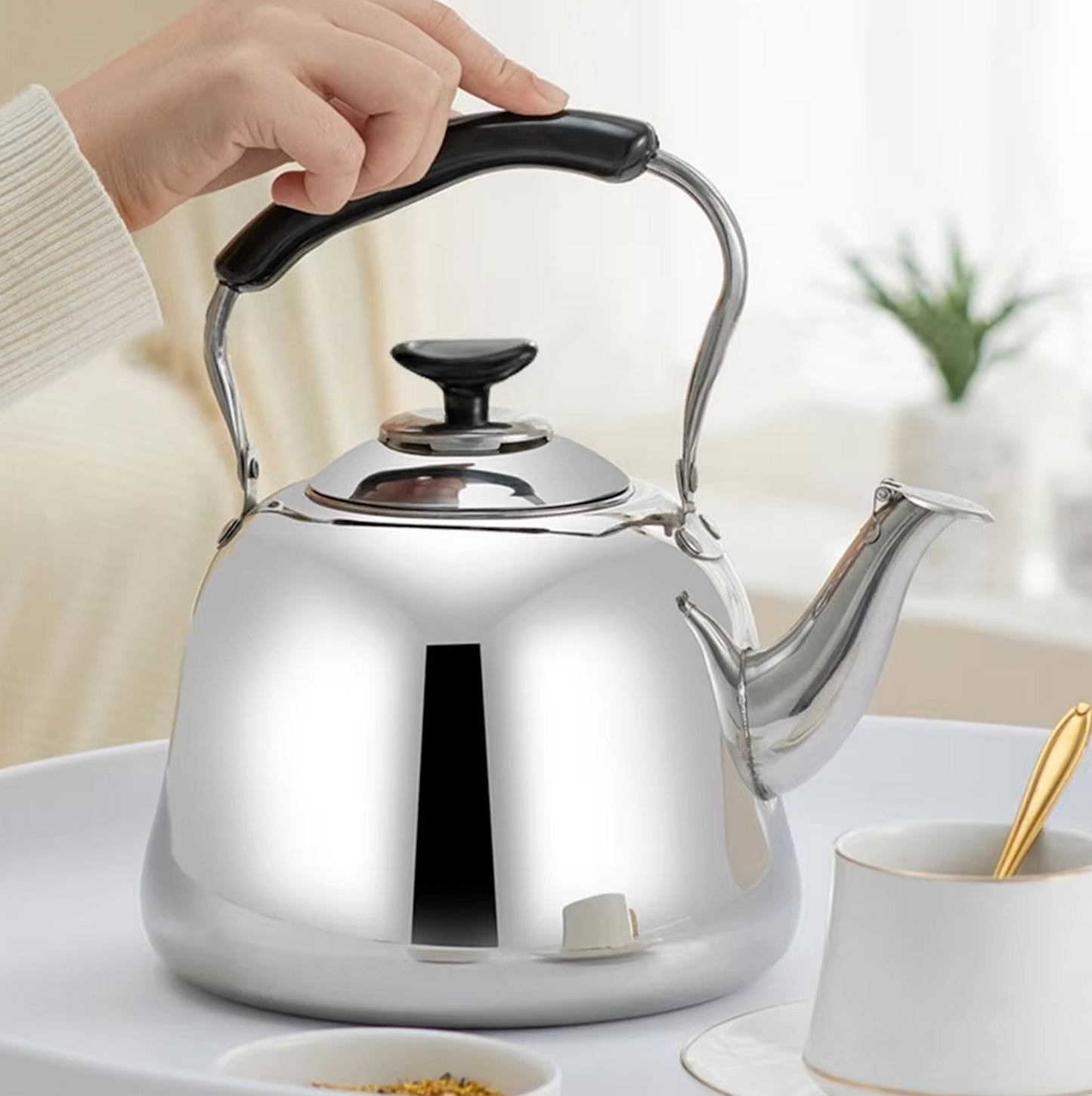 Stainless  Steel  Tea kettle